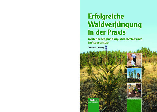 Erfolgreiche Waldverjüngung